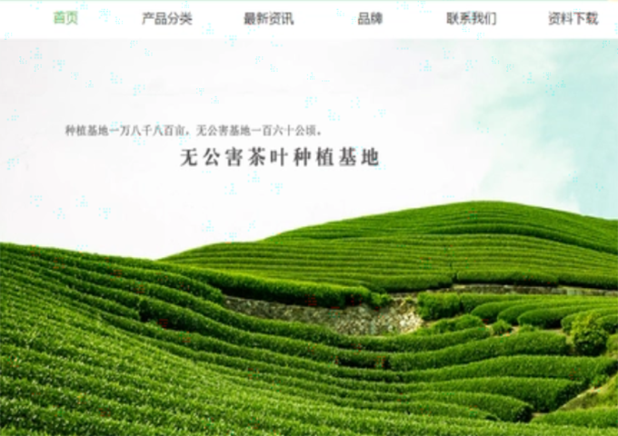 茶葉網站建設！