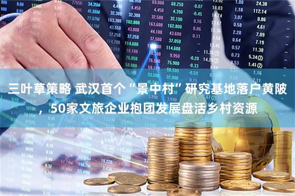 三叶草策略 武汉首个“景中村”研究基地落户黄陂，50家文旅企业抱团发展盘活乡村资源