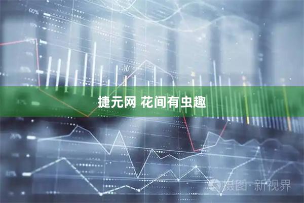 捷元网 花间有虫趣