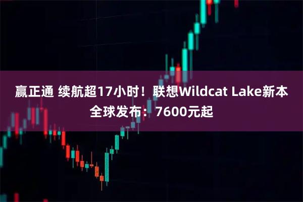 赢正通 续航超17小时！联想Wildcat Lake新本全球发布：7600元起
